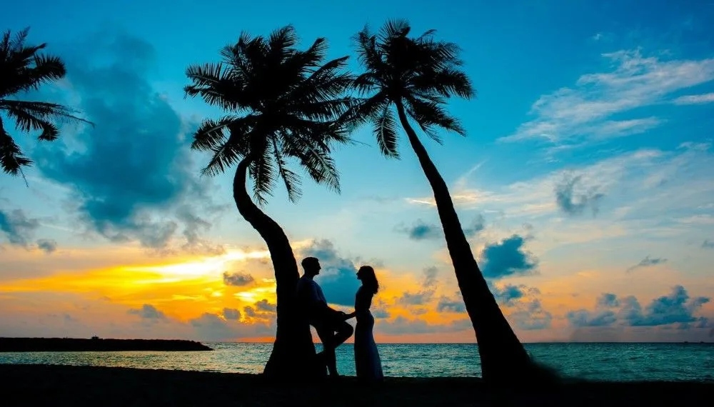 Best honeymoon places in India in December – couple standing between coconut trees at sunset on a Goa beach