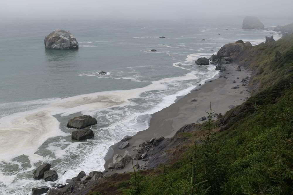 Dramatic foggy coastline view from High Bluff Overlook in Olympic National Park, one of the best national parks to visit in July.
