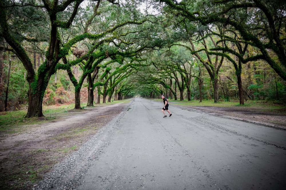 Scenic road covered by live oak trees on Jekyll Island, one of the most peaceful places to visit in Georgia USA.