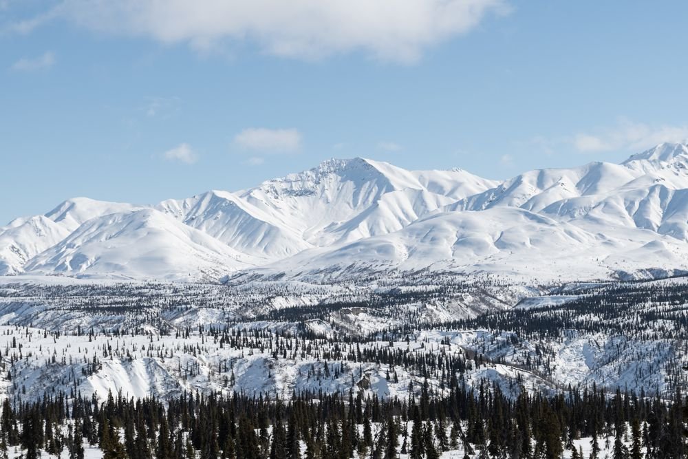Massive snow-capped peaks of the Alaska Range towering over spruce forests in Denali National Park, one of the best national parks to visit in July.
