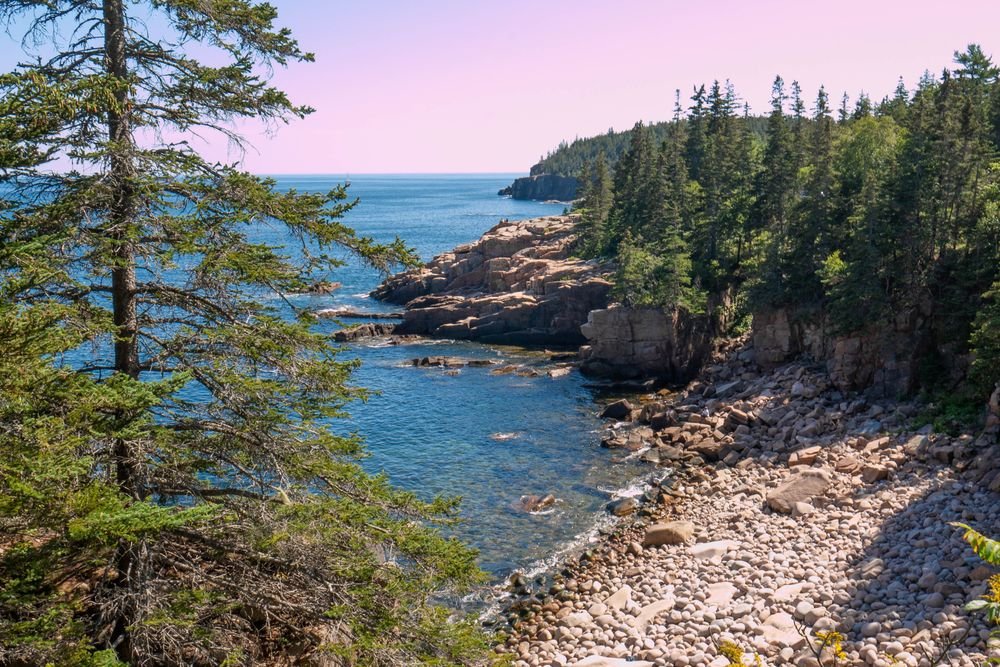 Scenic rocky coastline and pine trees at Acadia National Park, one of the best national parks to visit in August.