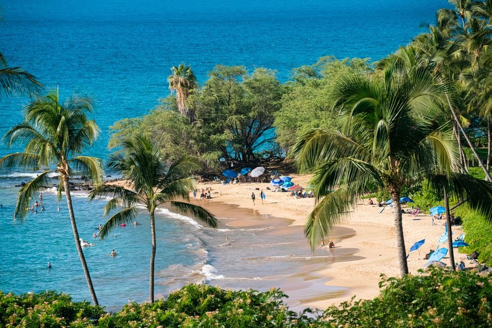 Tropical sandy beach with palm trees and turquoise ocean water in Maui, one of the best islands to visit in july.